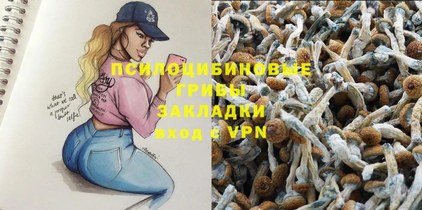 винт Алзамай