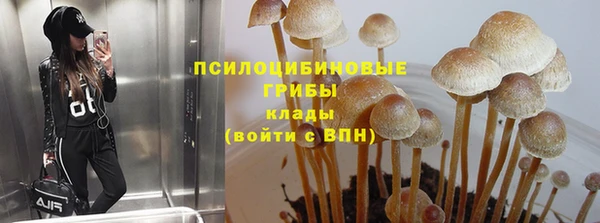 бошки Алексеевка